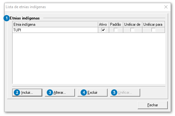 Lista de etnias indígenas